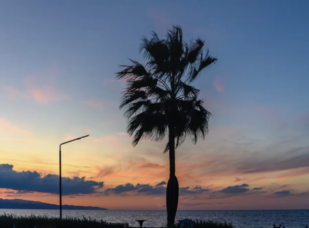 Florida man brings drugs to beach and locks self in own trunk–then the sun goes down